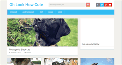 Desktop Screenshot of ohlookhowcute.com